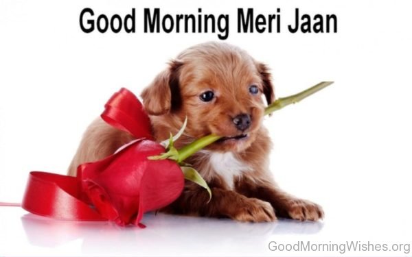 Good Morning Meri Jaan
