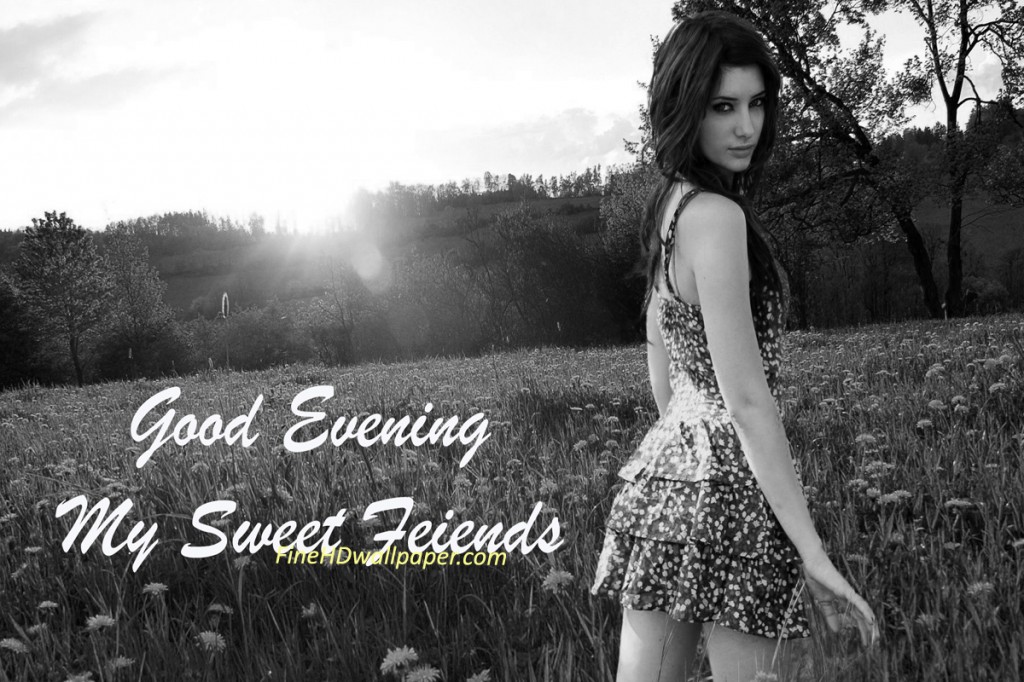 Good evening Wishes Messages for Friends Images Wallpapers