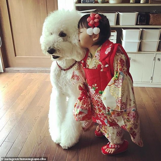 Kiss! The grandmother used a snap of her granddaughter snuggled against one of the poodles to urge others to apply for a photography contest