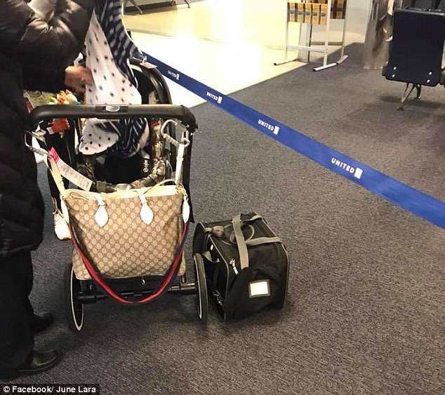 Robledo had brought her puppy in a carrier, according to United rules, which should have been placed under her seat