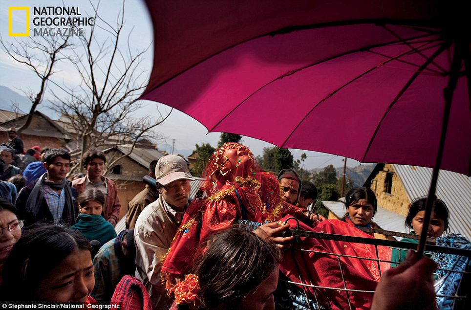 Wailing in protest: Surita, 16, cries as she leaves her family home, shielded by a traditional wedding umbrella and carried in a cart to her new husband