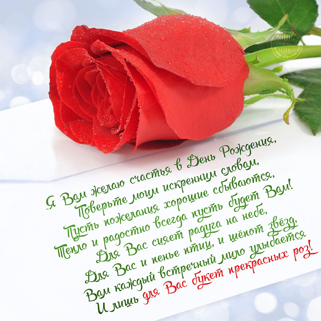Красивая женская открытка с розой и стихами