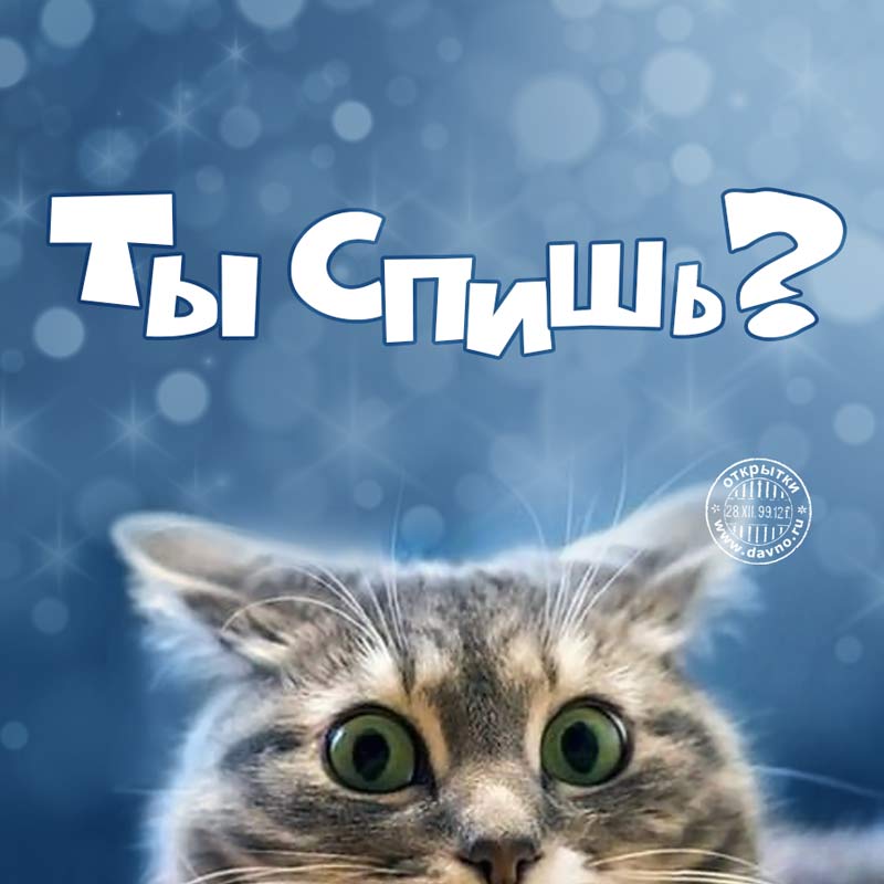 Ты спишь? :)