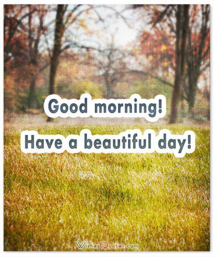 Good morning! Have a beautiful day!